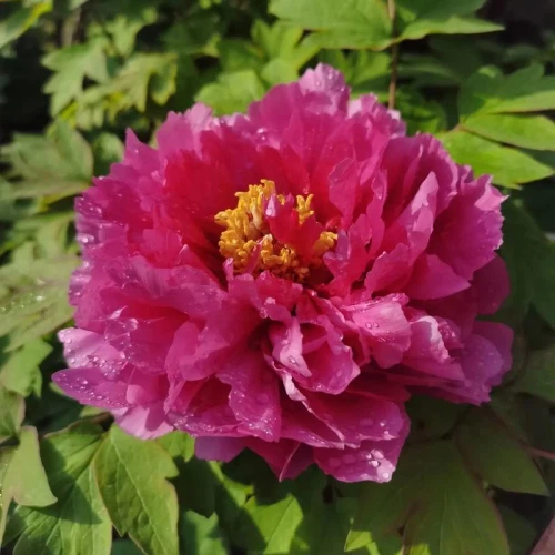 c8c582e0-181e-471b-8727-890f46544e66 c8c582e0-181e-471b-8727-890f46544e66